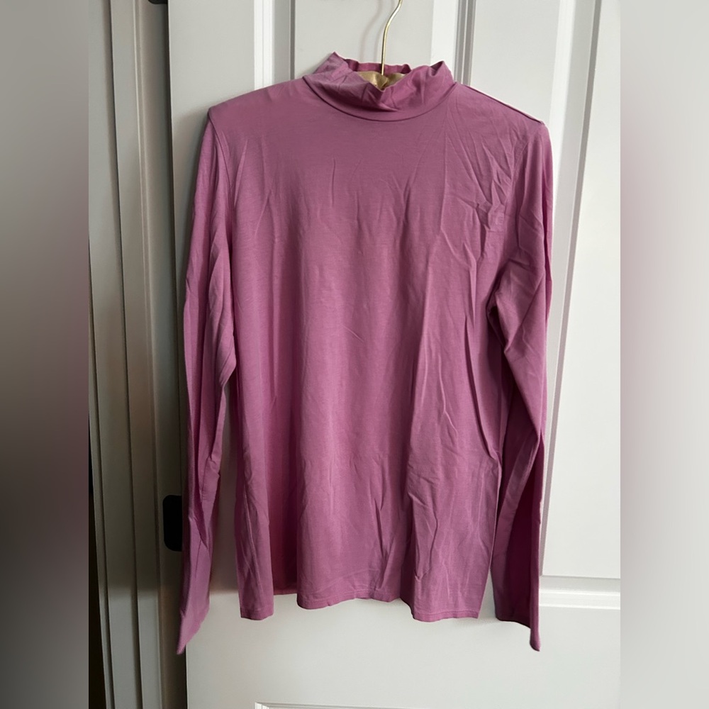 Everlane Lux Mock Turtleneck